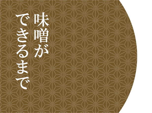 味噌ができるまで