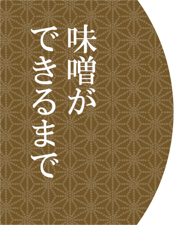 味噌ができるまで