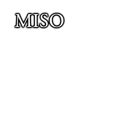 miso