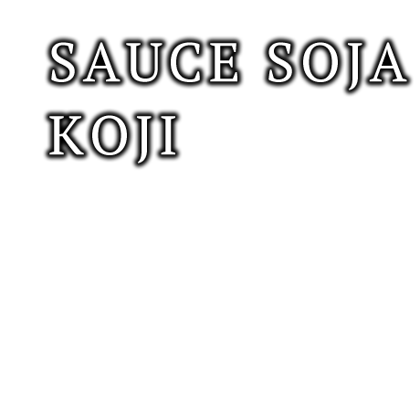 SOY SOURCE KOJI